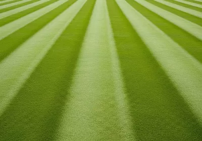 Imagen PNG para descargar